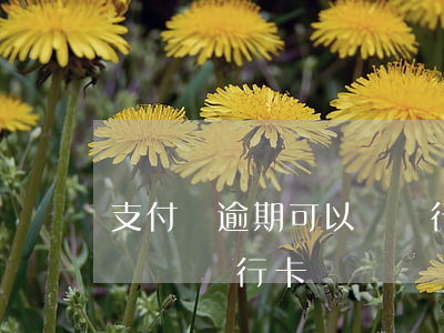 支付寶逾期可以辦銀行卡不(支付寶逾期了影響辦銀行卡嗎)