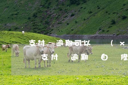 支付寶逾期可以連續(xù)修復(fù)嗎 支付寶逾期會自動修復(fù)嗎