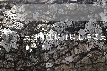 支付寶逾期可以進場嗎 支付寶逾期可以進場嗎