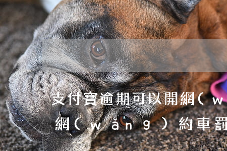 支付寶逾期可以開網(wǎng)約車嗎(開網(wǎng)約車罰款嗎)