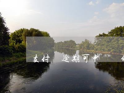 支付寶逾期可申訴條件（支付寶疫情逾期申述）