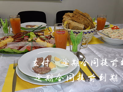 支付寶逾期合同提前到期了怎么辦-支付寶逾期合同提前到期了怎么辦理