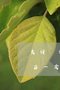 支付寶逾期后一定要全部還完嗎(支付寶逾期后一定要全部還完嗎)