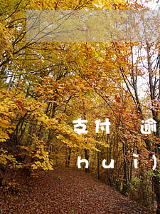 支付寶逾期后一次還清(支付寶逾期多久會(huì)要求一次性還完)