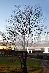 支付寶逾期后一直還在會上訴嗎(支付寶逾期后一直還在會上訴嗎)