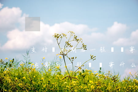 支付寶逾期后一般會郵寄什么過來-支付寶逾期后一般會郵寄什么過來?