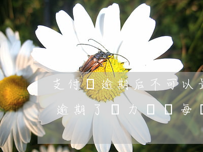 支付寶逾期后不可以最低還款了嗎-支付寶逾期了無力償還每個(gè)月還點(diǎn)可以嗎