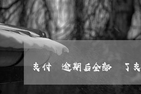 支付寶逾期后全部還了(支付寶逾期了讓全部歸還)