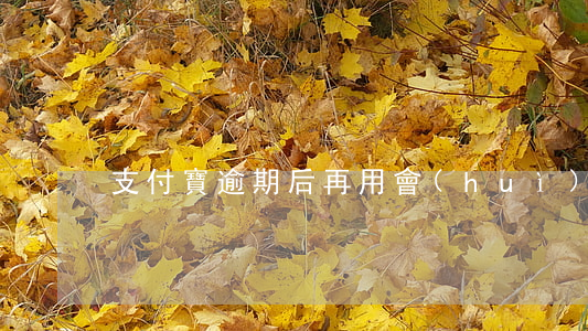 支付寶逾期后再用會(huì)扣錢嗎