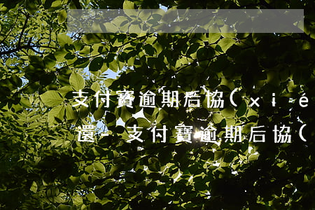 支付寶逾期后協(xié)商還款哪個渠道還-支付寶逾期后協(xié)商還款哪個渠道還最劃算