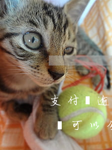 支付寶逾期后可以分期還款(支付寶逾期以后還可以分期嗎)
