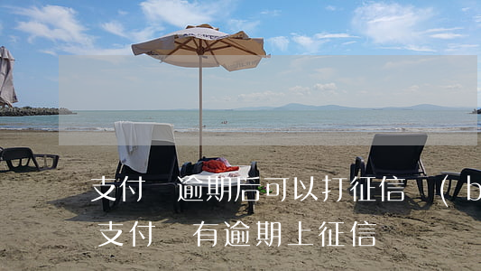 支付寶逾期后可以打征信報(bào)告嗎(支付寶有逾期上征信嗎)