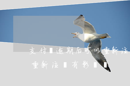 支付寶逾期后可以重新注冊嗎(支付寶逾期了重新注冊有影響嗎)