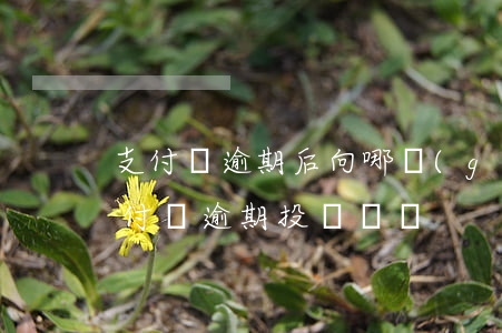 支付寶逾期后向哪個(gè)部門投訴-支付寶逾期投訴電話