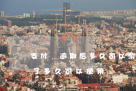 支付寶逾期后多久可以消除(支付寶逾期還清了多久可以使用)