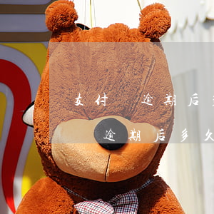 支付寶逾期后多久恢復(fù)借唄-支付寶逾期后多久恢復(fù)借唄額度