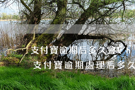 支付寶逾期后多久會(huì)走法律程序(支付寶逾期處理后多久能恢復(fù))