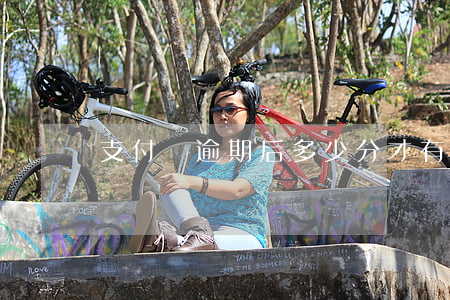 支付寶逾期后多少分才有花唄
