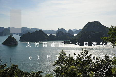 支付寶逾期后少量還款(支付寶逾期半個(gè)月了要求全額還款)