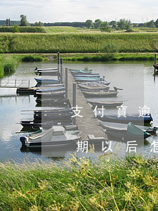 支付寶逾期后怎么快速漲芝麻分-支付寶逾期以后怎么快速獲得芝麻信用