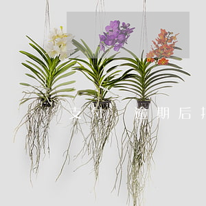 支付寶逾期后扣了50塊有用嗎-