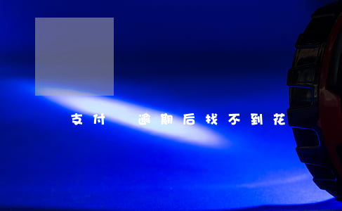 支付寶逾期后找不到花唄