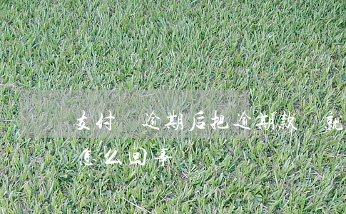 支付寶逾期后把逾期款還就-支付寶逾期了怎么回事
