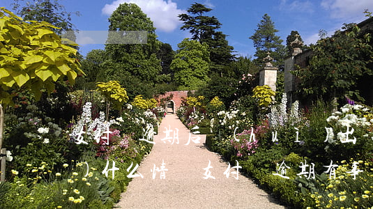 支付寶逾期后會(huì)出現(xiàn)什么情況(支付寶逾期有事沒(méi))