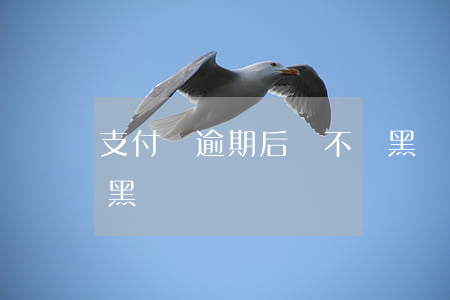 支付寶逾期后會不會黑戶(支付寶逾期多久會黑戶)