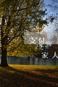 支付寶逾期后會影響工作嗎 支付寶逾期會影響家人嗎
