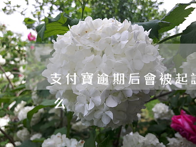 支付寶逾期后會被起訴嗎(支付寶逾期會被告么)