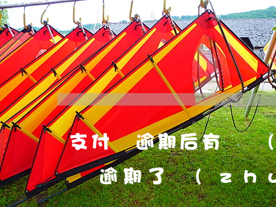 支付寶逾期后有錢轉(zhuǎn)入(支付寶逾期了轉(zhuǎn)不了錢嗎)