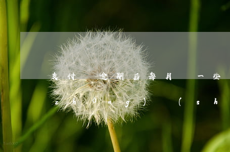 支付寶逾期后每月還一些可以嗎(支付寶長(zhǎng)時(shí)間逾期每個(gè)月都還一點(diǎn)沒(méi)事吧)