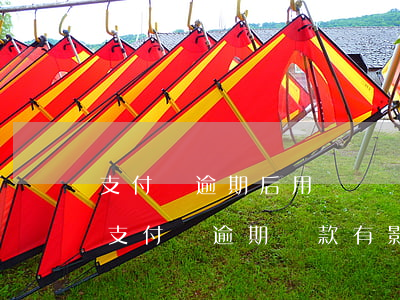 支付寶逾期后用釘釘會(huì)有影響嗎(支付寶逾期貸款有影響嗎)