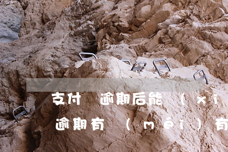 支付寶逾期后能協(xié)商嗎-支付寶逾期有沒(méi)有協(xié)商成功的?