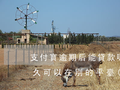 支付寶逾期后能貸款嗎(支付寶逾期還完了多久可以在別的平臺(tái)貸款)