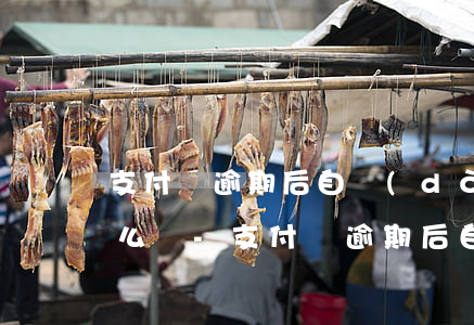 支付寶逾期后自動(dòng)扣銀行卡怎么辦-支付寶逾期后自動(dòng)扣銀行卡怎么辦理