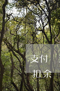 支付寶逾期后自動扣錢嗎(支付寶逾期會直接扣余額寶的錢嗎?)