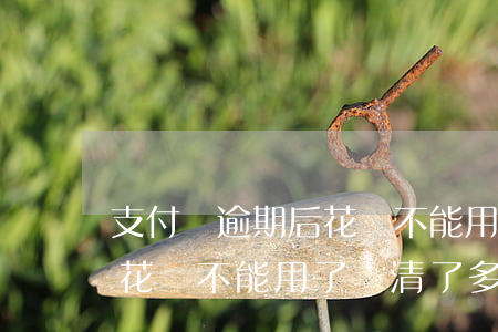 支付寶逾期后花唄不能用了-支付寶逾期后花唄不能用了還清了多久才能用