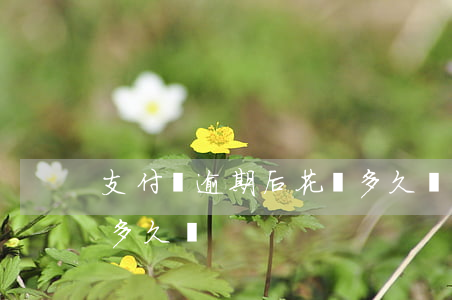 支付寶逾期后花唄多久開(支付寶逾期后花唄多久開)