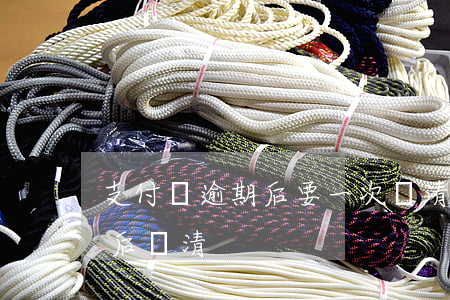 支付寶逾期后要一次還清（支付寶逾期3個月后還清）