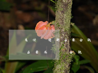 支付寶逾期后要全款還清嗎（支付寶還清逾期后要求償還全款）