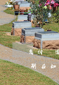 支付寶逾期后要多久恢復(fù)（支付寶逾期后如何處理）