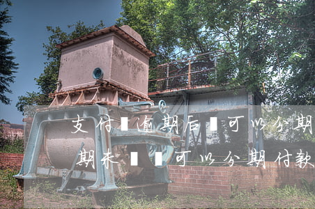 支付寶逾期后還可以分期還嗎(支付寶欠款逾期未還 還可以分期付款嗎)