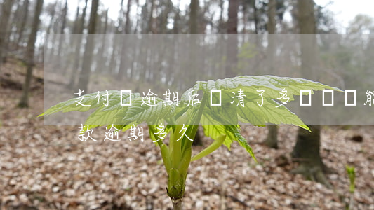 支付寶逾期后還清了多長時間能用（支付寶還款逾期多久）