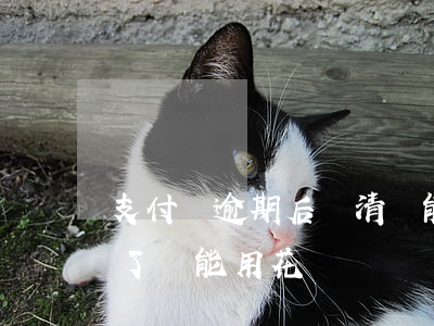 支付寶逾期后還清還能用花唄嗎(支付寶逾期了還能用花唄嗎)