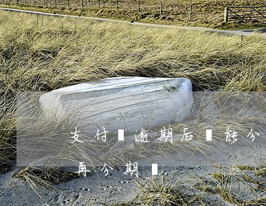 支付寶逾期后還能分期還嗎(支付寶逾期還能再分期嗎)