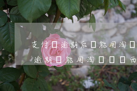 支付寶逾期后還能用淘寶買東西那-支付寶逾期,還能用淘寶買東西嗎