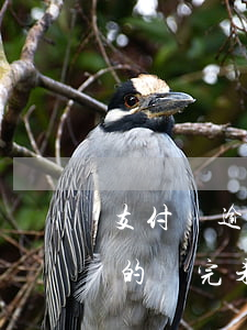 支付寶逾期后還逾期再次逾期(支付寶把逾期的還完未逾期的)