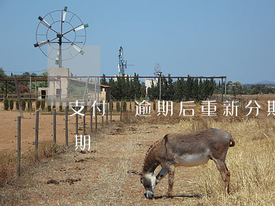 支付寶逾期后重新分期(支付寶逾期后重新分期)